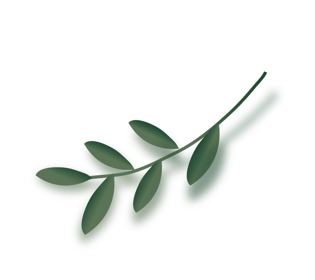 助记词怎么转换成私钥_守护助记词保护资产安全-CSDN博客