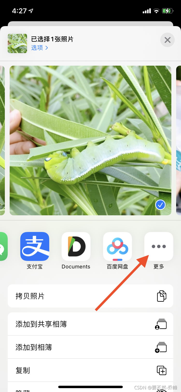如何在iPhone 和iPad 上将你的照片转换为PDF？_ipad怎么把图片转成pdf-CSDN博客
