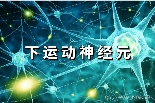 上、下运动神经元的区别_上下运动神经元区别表格-CSDN博客