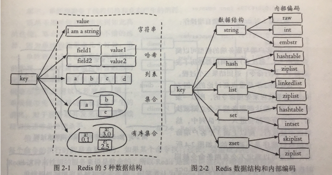 image-20211019212419367