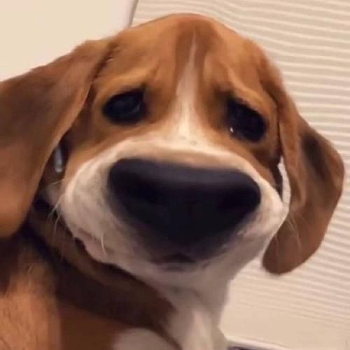 586151d256634c211f206bb11e0c08e7.png