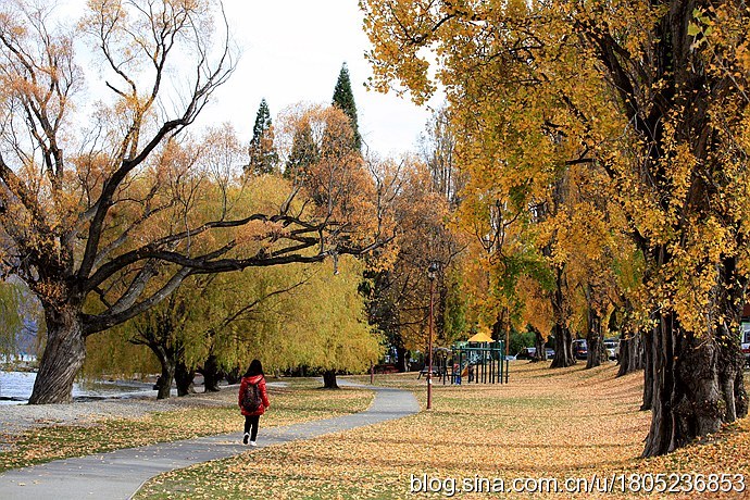 [转载]【纯净新西兰】漫步在童话小镇的秋天