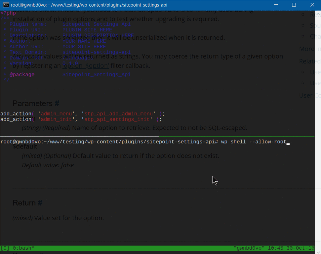 Fetching options in our plugin or theme files
