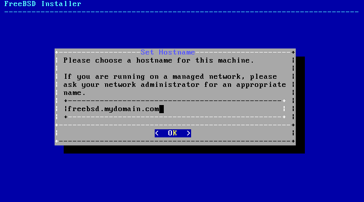freebsd-hostname.png