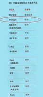 《中国云计算发展的务实之路》中国云服务供应商名单节选