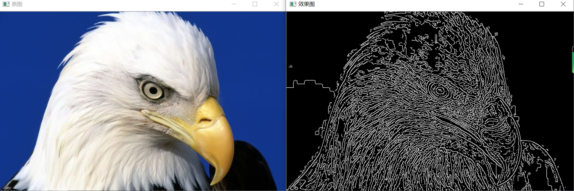 image-20211111184037827