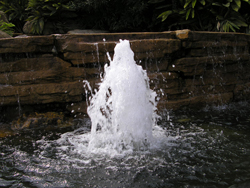 P1300008.JPG