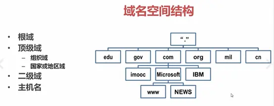 11997621-042205ca729103bc.png