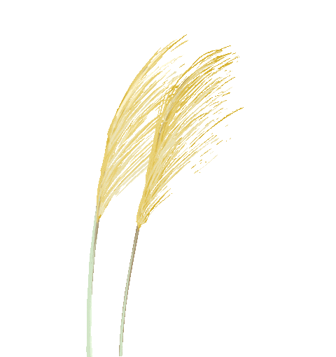 bdaf7d4940806fcdcdf9dc38c8fdd531.gif