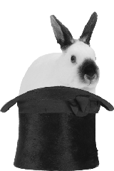 rabbit-hat