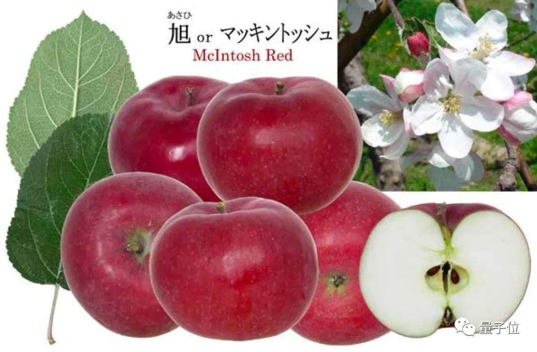 c5adef9a934ee9423d0022e99d933992.png