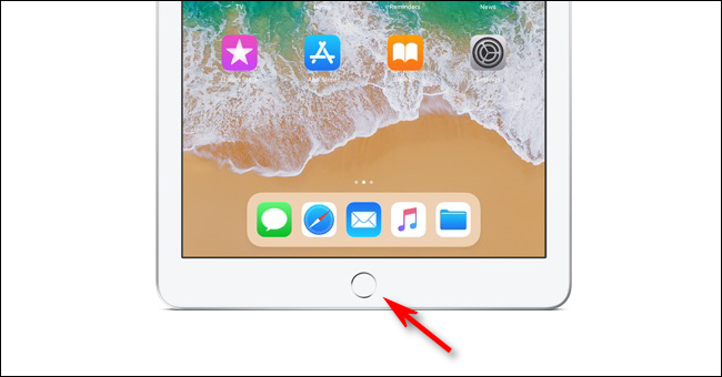 iPad Home Button