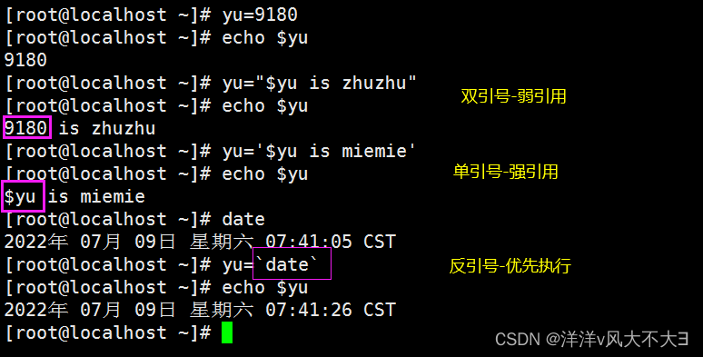 Linux Shell脚本编程入门指南-CSDN博客