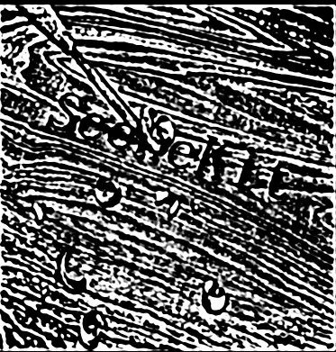 1594482-a4ad16d7288af07f.png