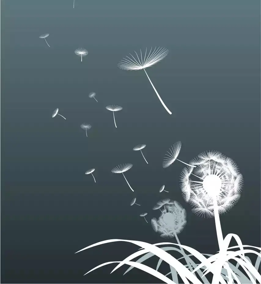 1336251-34474991ffb0247e.JPG
