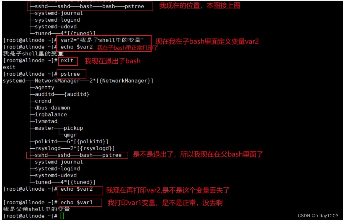 【shell 编程学习笔记】一、基础概念1_shell语言-CSDN博客