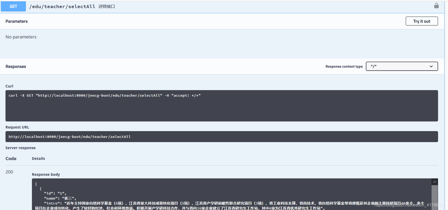 swagger接口api文档_swag api-CSDN博客
