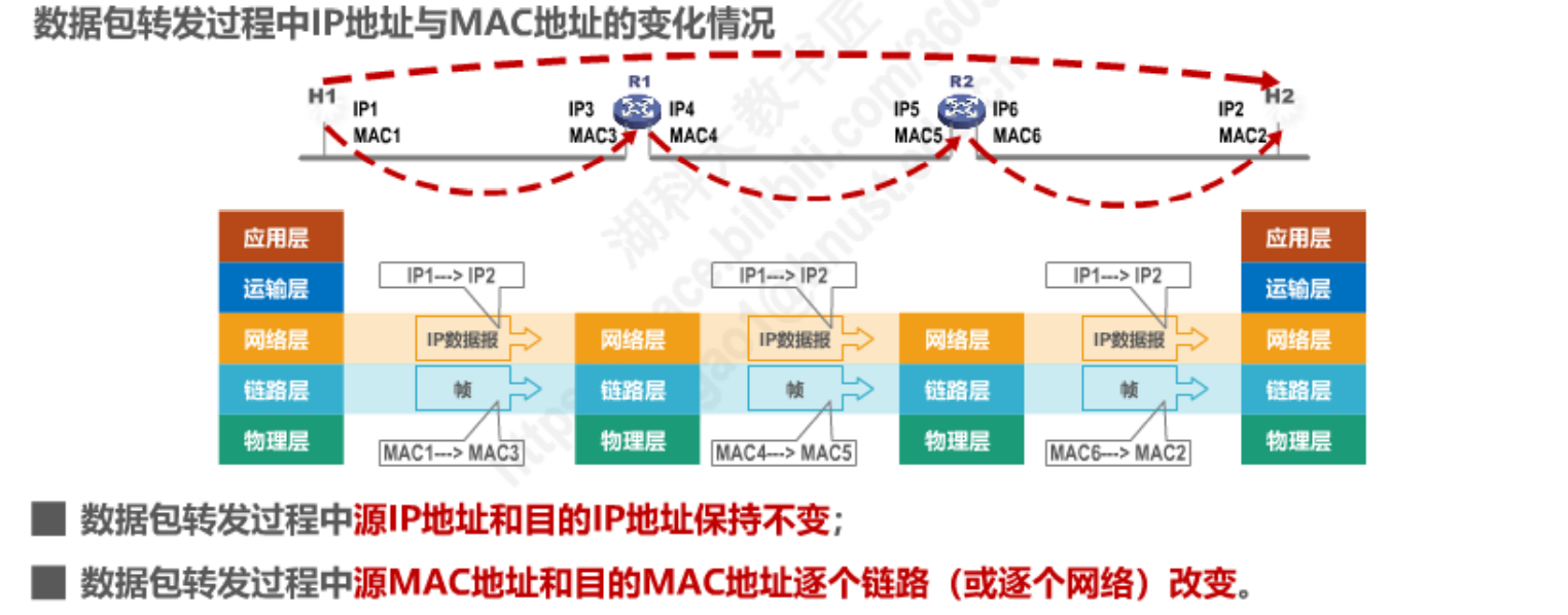 image-20230213225330471