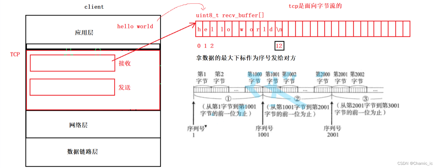 udp协议/tcp协议
