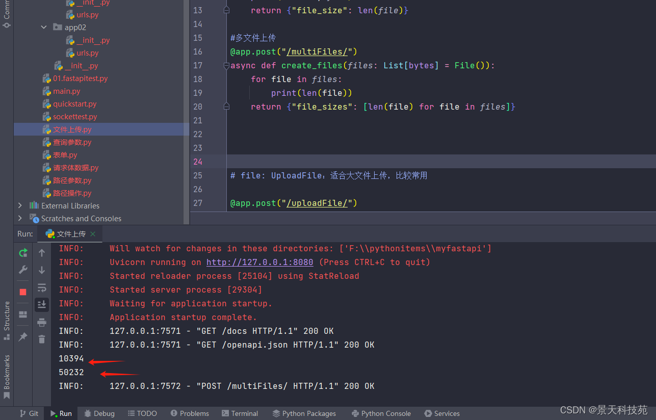 如何使用Fastapi上传文件？先从请求体数据讲起_fastapi 上传文件-CSDN博客