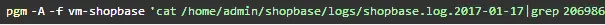 webp