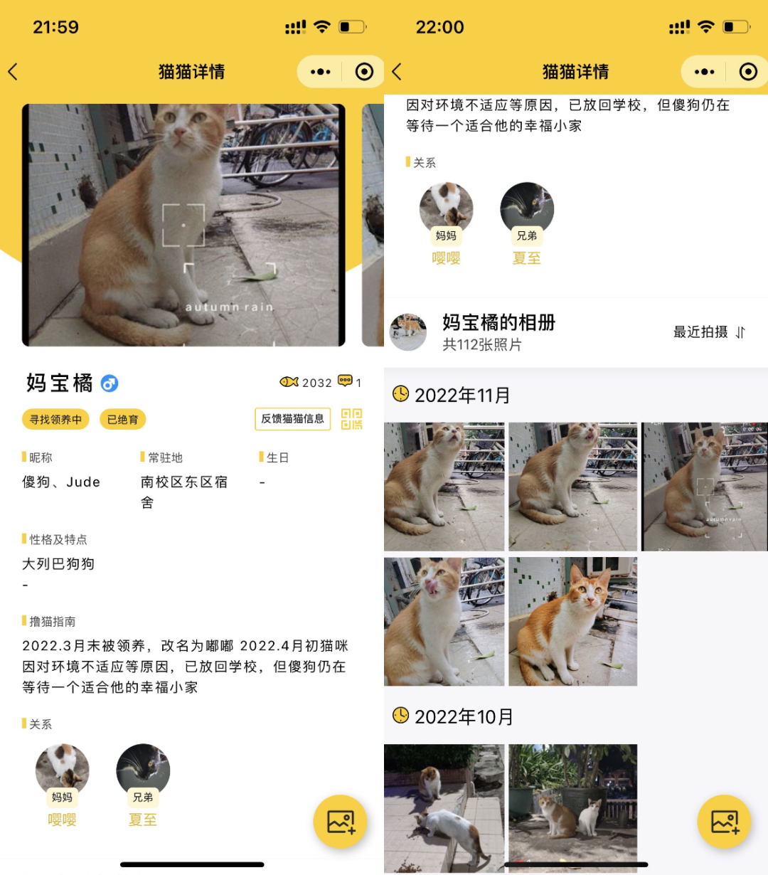 c3afa406189827caf781f838b64cb951.png