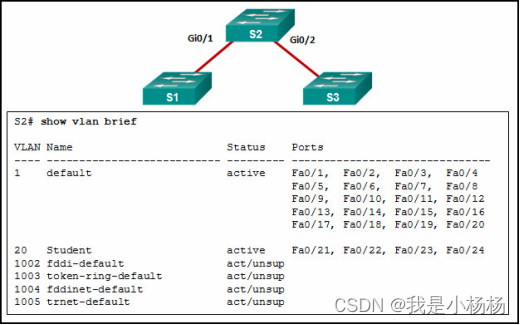CCNA2 v7 Modules 1 – 4 Switching Concepts, VLANs, and InterVLAN Routing ...