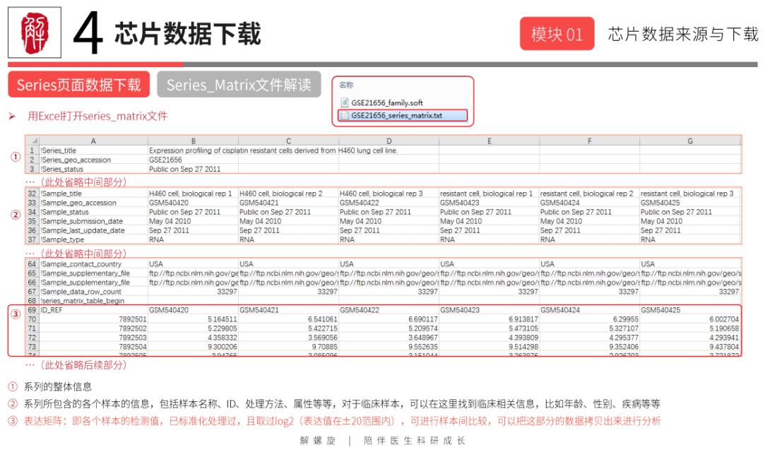 c3664b551bc02ac738de256f3a56948f.png