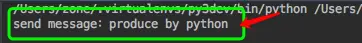 python producer