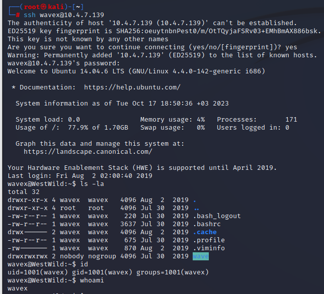 image-20231017162248836