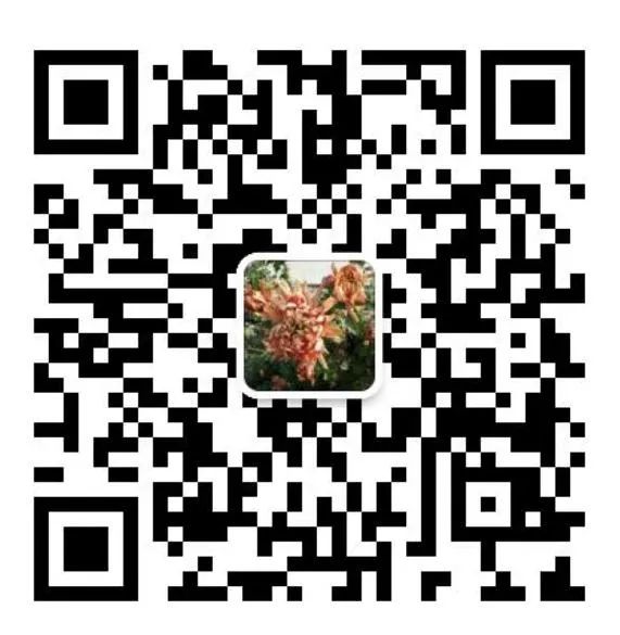 112cc0275c065a125dabb2362b78182b.png