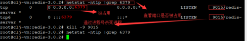 Ubuntu下如何安装与运行Redis
