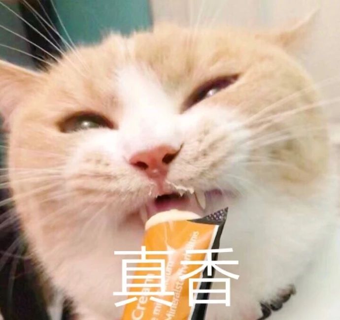 https://mmbiz.qpic.cn/mmbiz_jpg/ibMNOojSZERv9GnCUgTaE31WTd91XwWNzIUicfiaLIT0aLUXIU4rb8lNrGR8AibU2l4WUrtfTnfvoaiaz3wg0ReW20w/?wx_fmt=jpeg