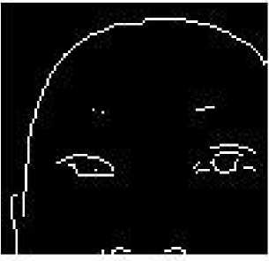 v2-d403af1d5bacbbca2bbee376cf12c90e_b.jpg