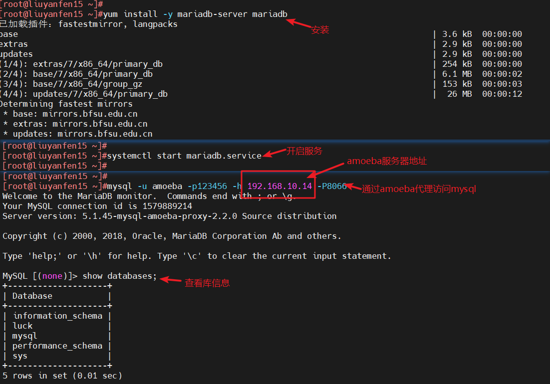 image-20240328183950986