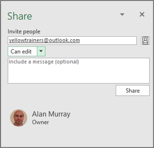 The Share options in an Excel workbook.