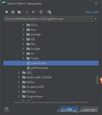 选择 Python 可执行文件