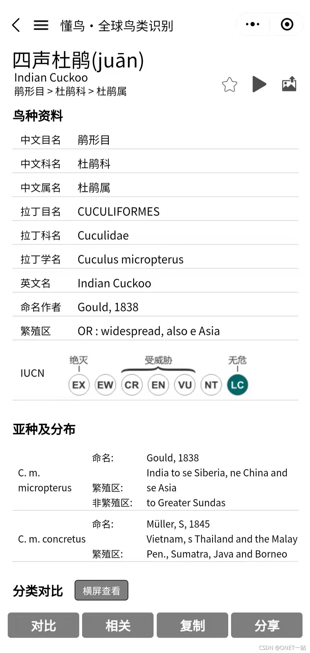 【008】懂鸟-图片识别全球鸟类，并介绍鸟类信息_鸟类查询网站-CSDN博客