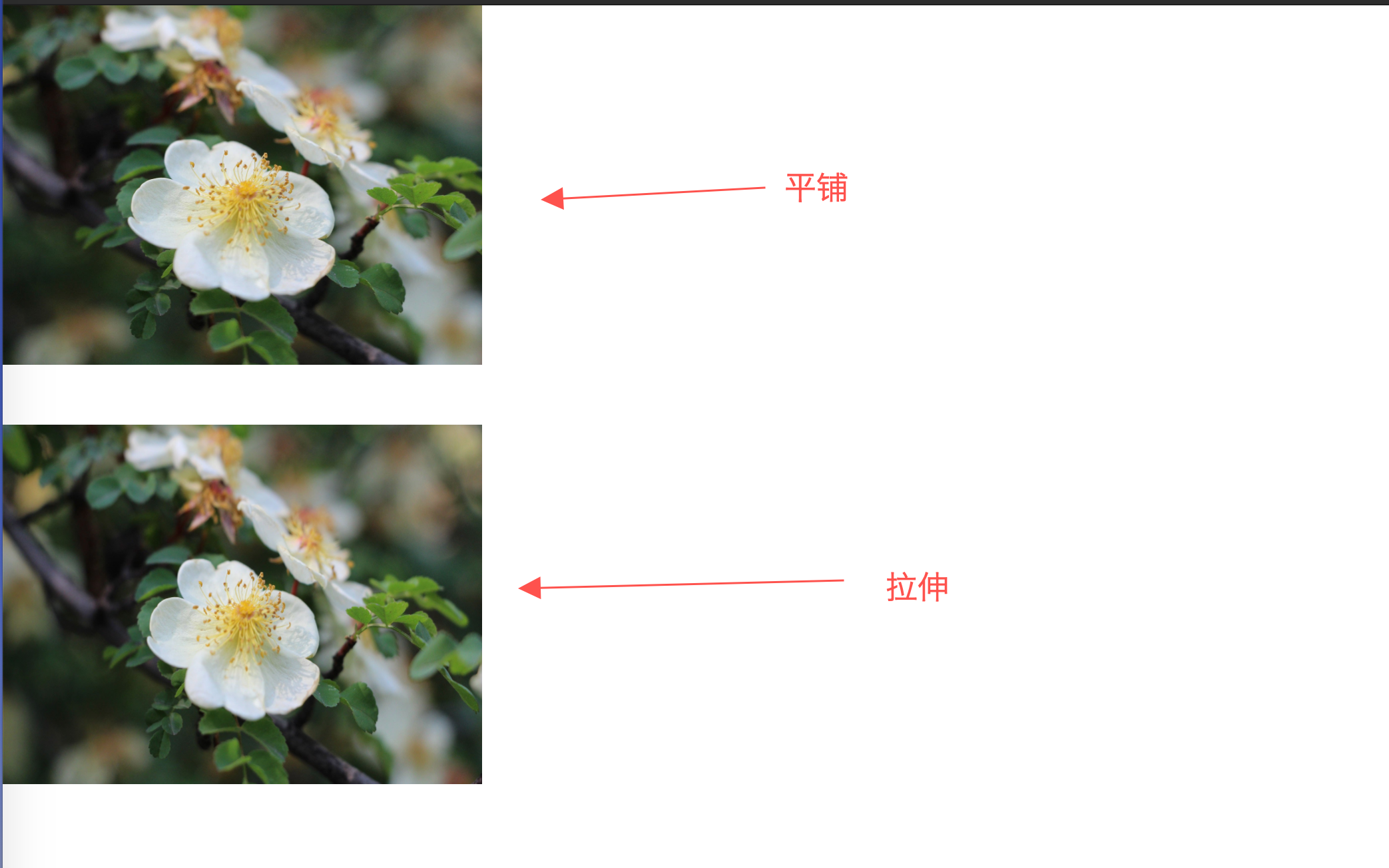 e6863b6f522e24dc256c3b980fd95b0c.png