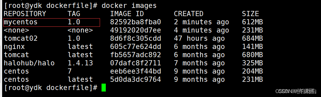 【Docker】docker入门插图15 在这里插入图片描述
