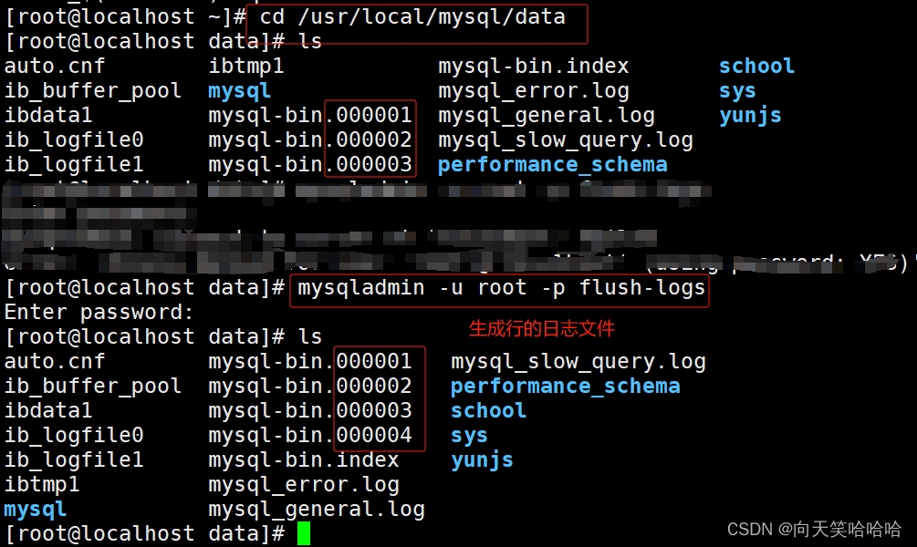 MySQL数据库备份和恢复_mysql备份恢复数据库-CSDN博客