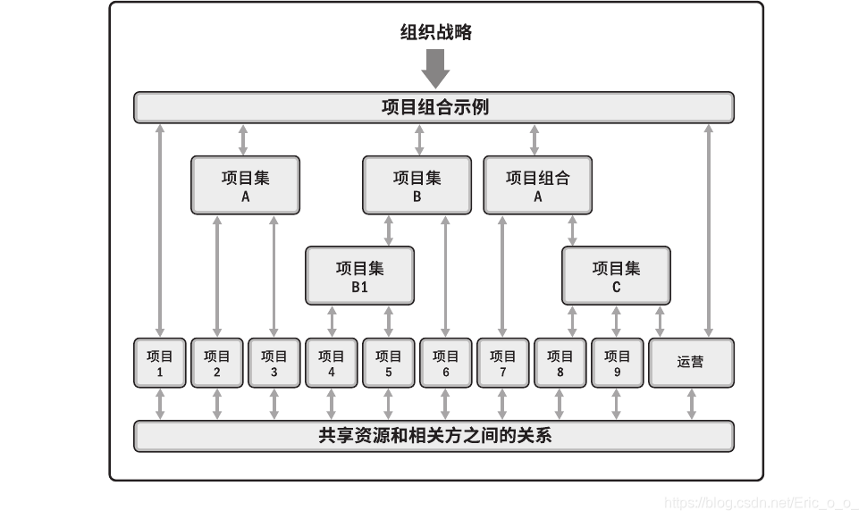 项目、项目集、项目组合和运营