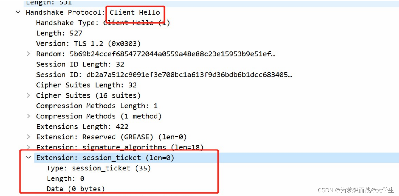 SSL与TLS安全协议详解:工作原理、SSLVPN与IPsecVPNs的比较-CSDN博客