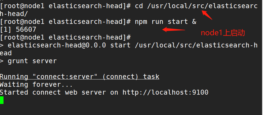 image-20220829202441045