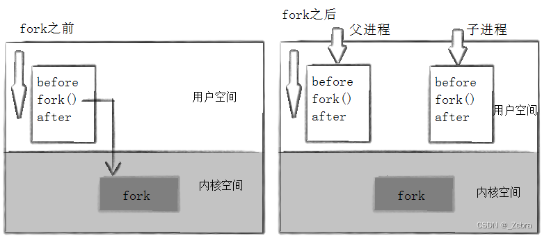 Linux操作系统~进程fork到wait到底怎么用？_fork wait-CSDN博客
