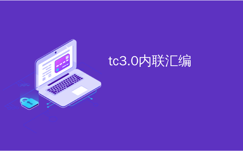 tc3.0内联汇编