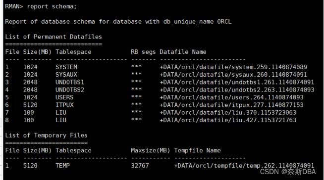 【Oracle篇】rman工具实用指南：常用命令详解与实践（第二篇，总共八篇）