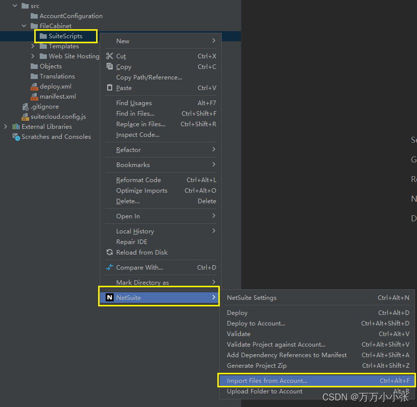 NetSuite/SuiteScript:如何在WebStorm使用SuiteCloud IDE plug-in插件_netsuite开发教学 ...