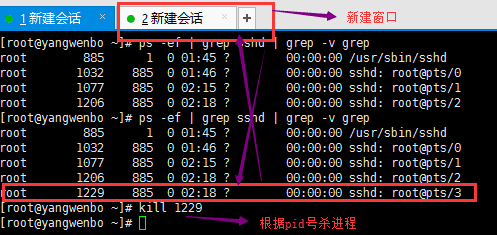 image.png-27.6kB