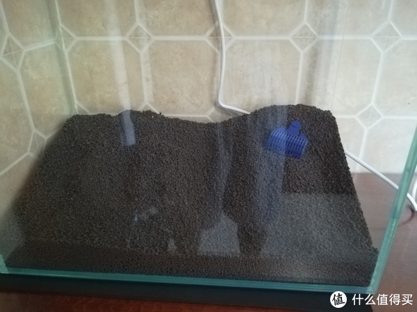 开缸种草篇